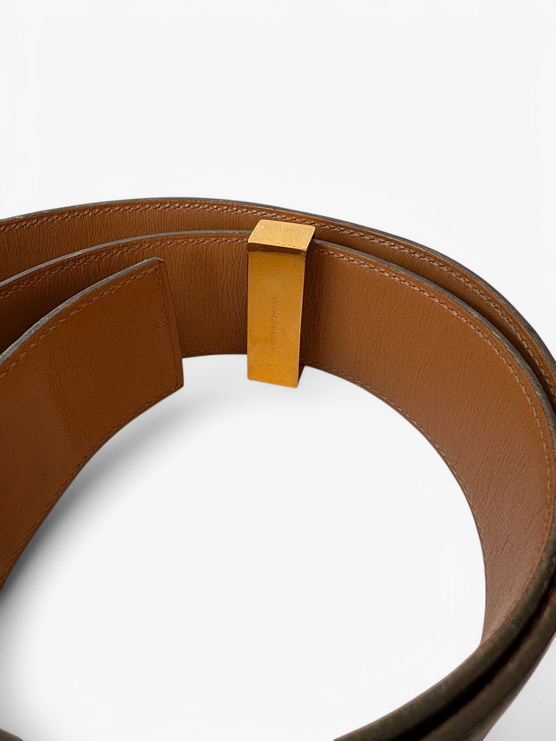 Ceinture collier de chien