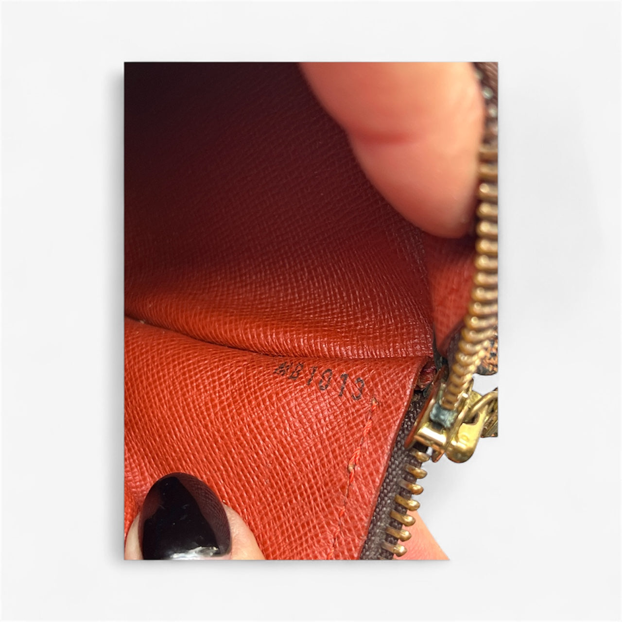 Louis Vuitton Papillon