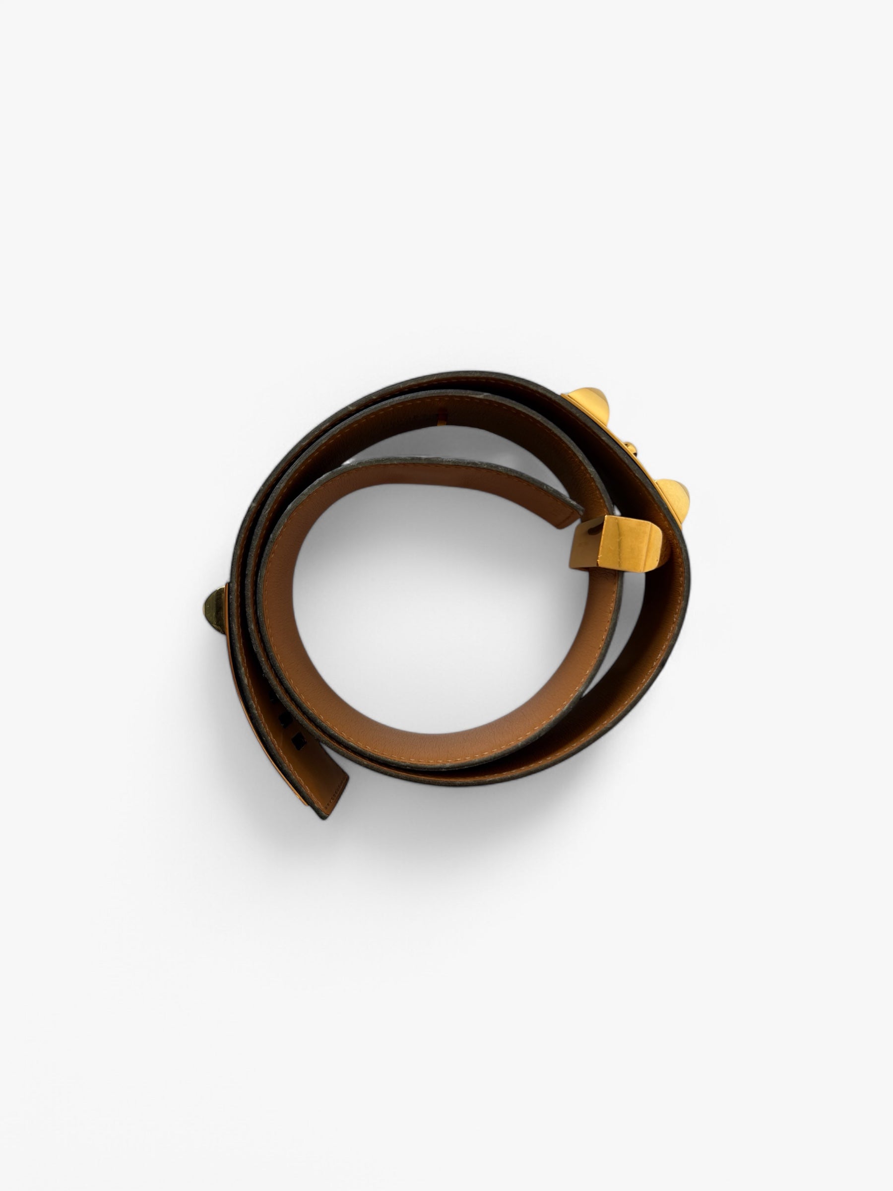 Ceinture collier de chien