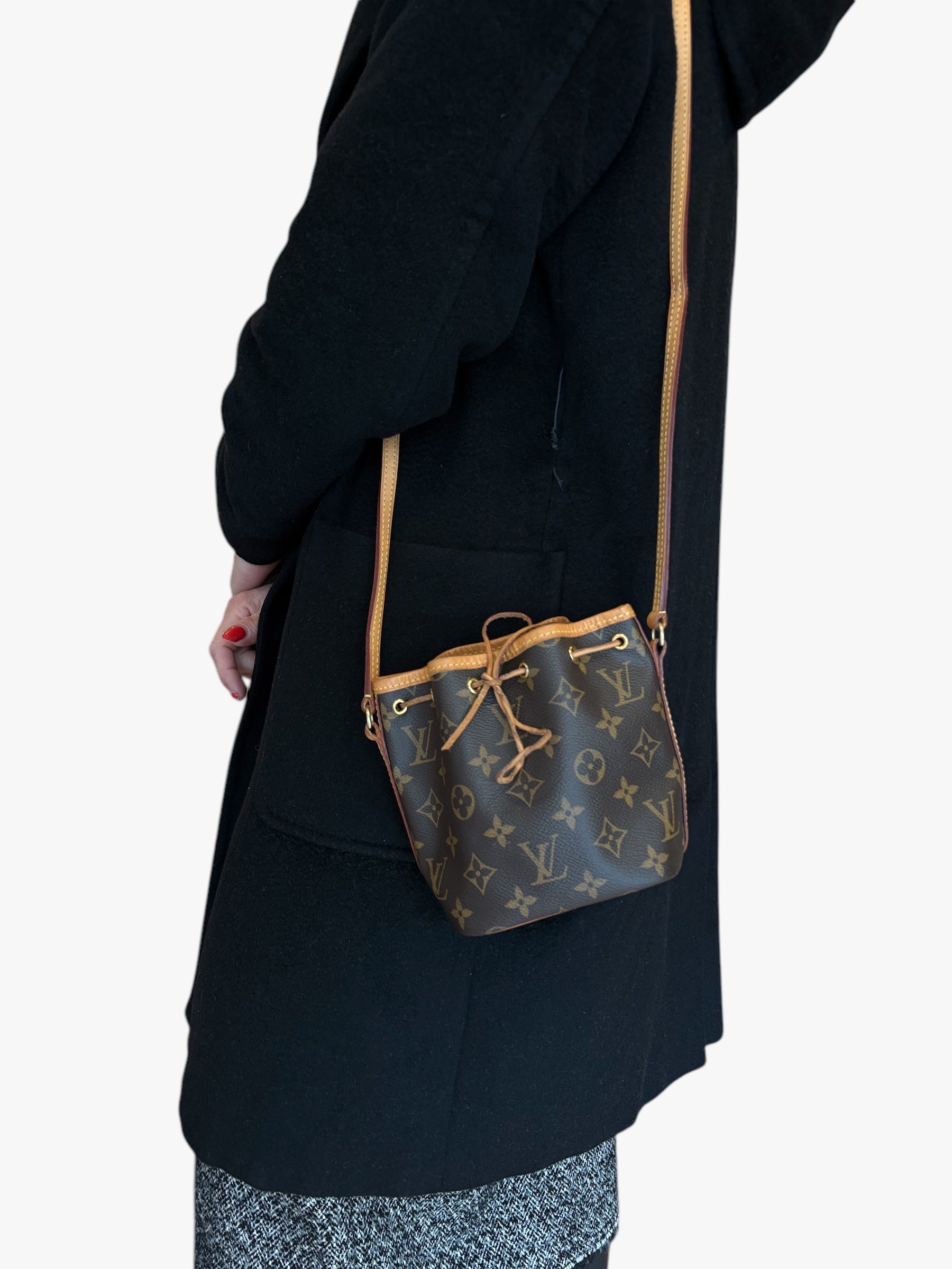 Sac Nano Noé Monogramme