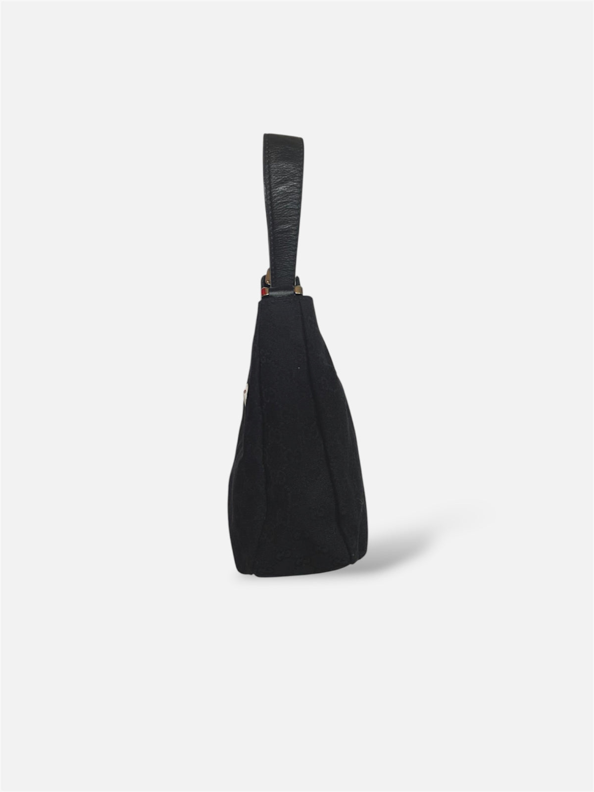 Sac New Ladies Web Hobo
