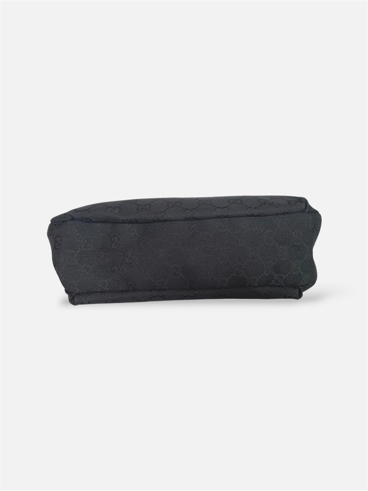 Sac New Ladies Web Hobo